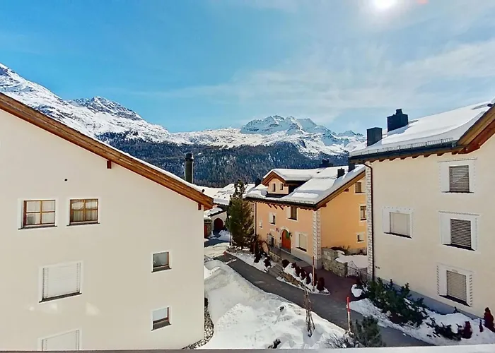 Lejin 18 실파플라나